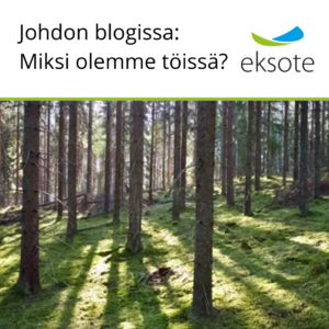 kuva metsästä