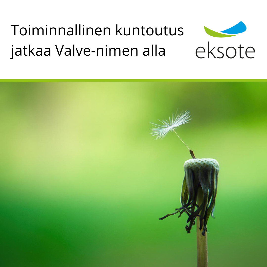 Kuvituskuva voikukasta, jossa jäljellä yksi siemenhaituva