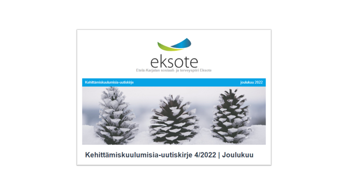 Joulukuun Kehittämiskuulumisia-uutiskirje on julkaistu