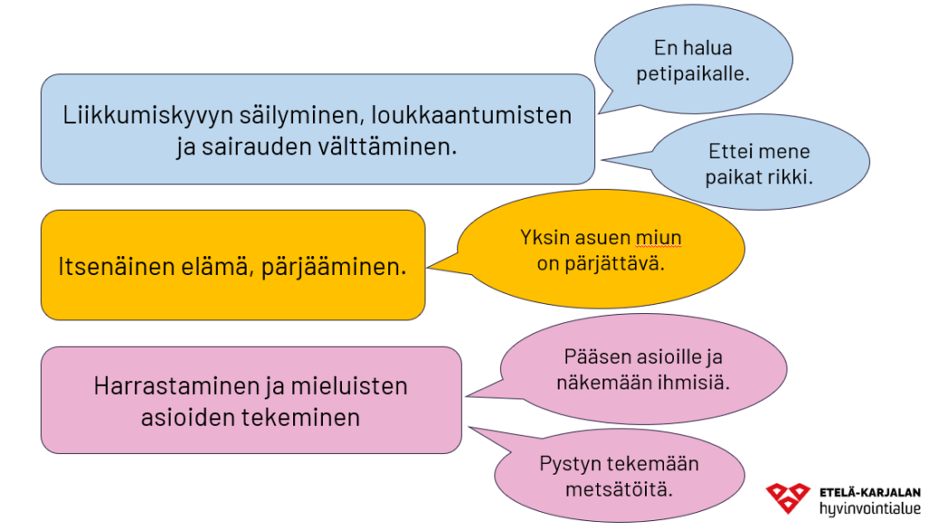 Haluan pysyä pystyssä koska itsenäinen elämä ja pärjääminen on minulle tärkeää. Liikuntakyvyn säilyminen loukkaantumisen ja sairauden välttäminen tukevat tätä tavoitetta sekä mahdollistavat harrastamisen ja mieluiten asioiden tekemisen.