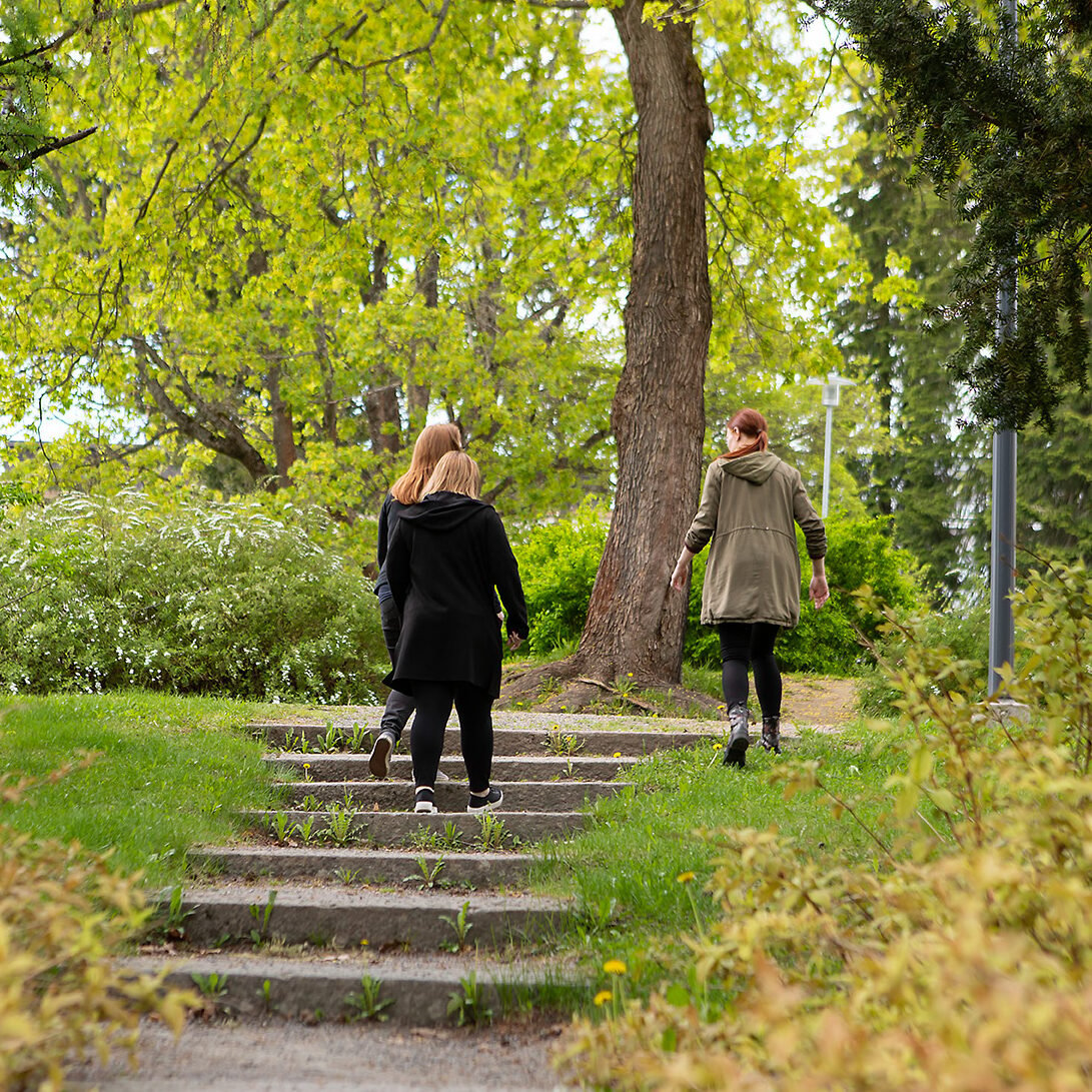 kolme naista kävelee puistossa vihreässä maisemassa, selät kameraan päin