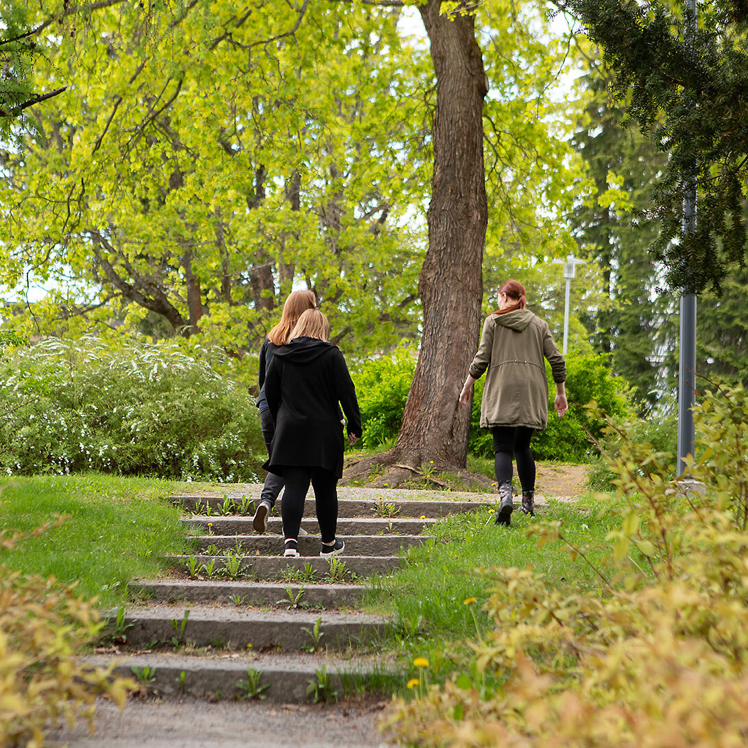 Huudikoutsitoiminta käynnistyy Etelä-Karjalassa