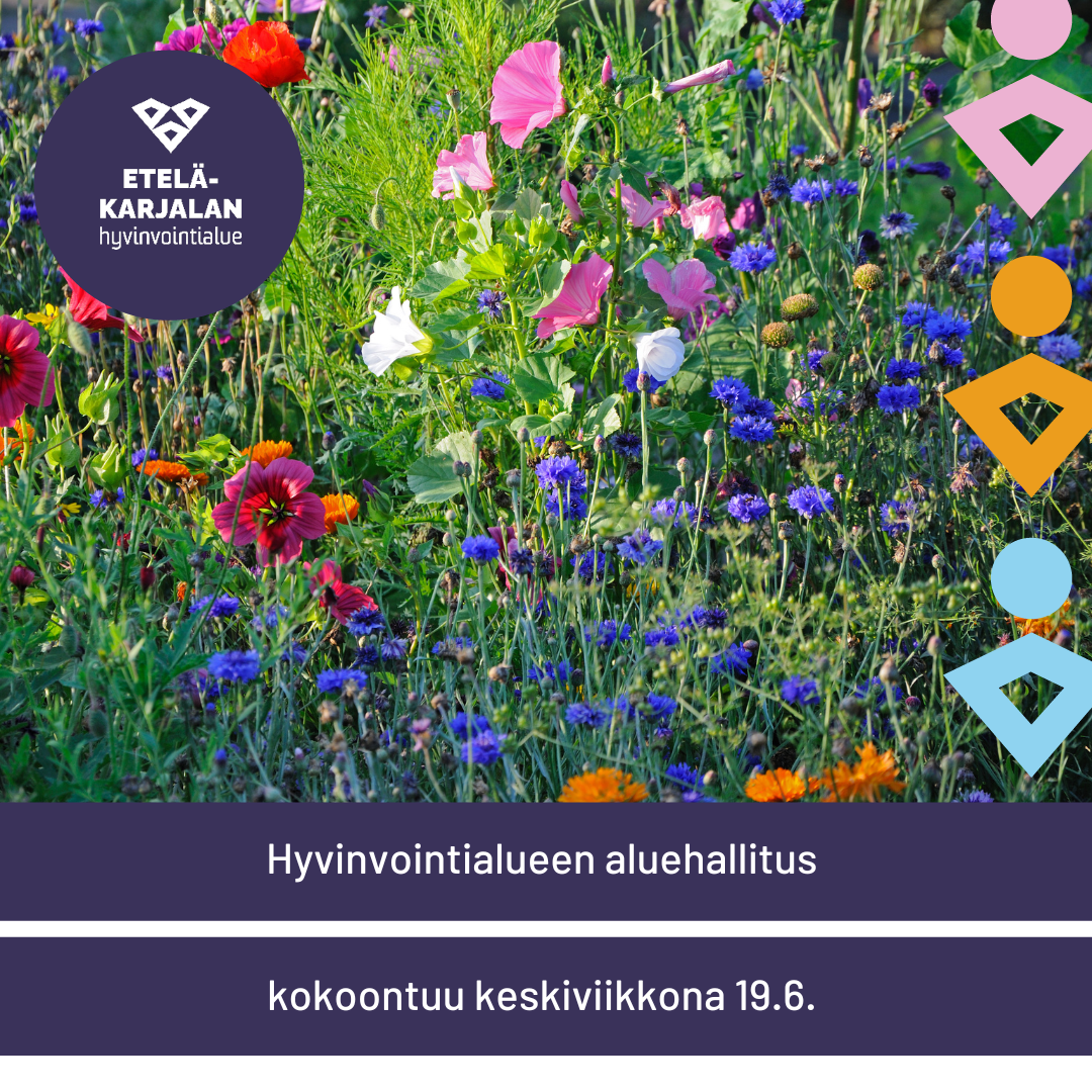 Aluehallituksen listalla ensi viikolla Leivontie, tilaelementit ja omaishoidon asiat