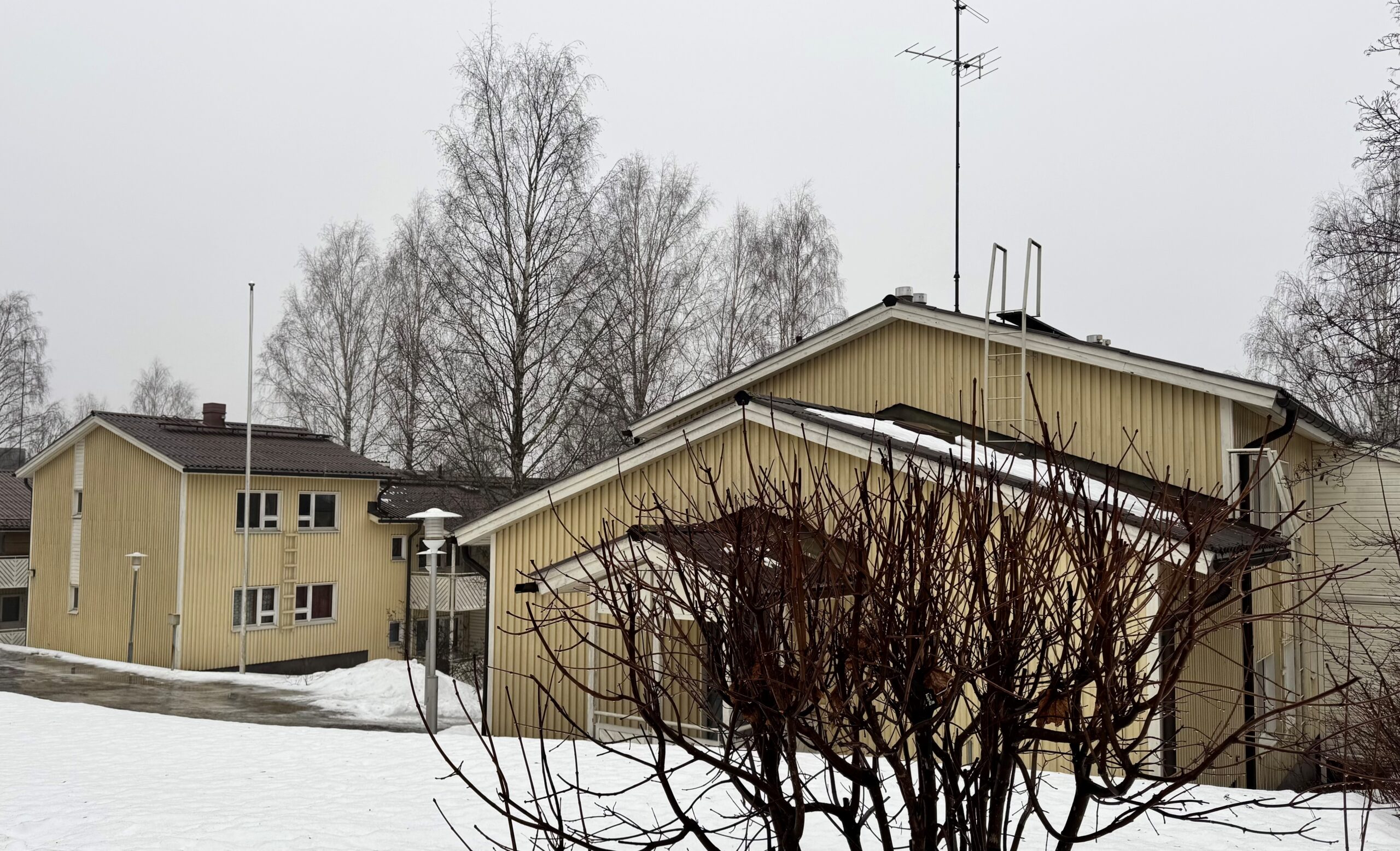 Saimaankadun keltaiset luhtikerrostalot.