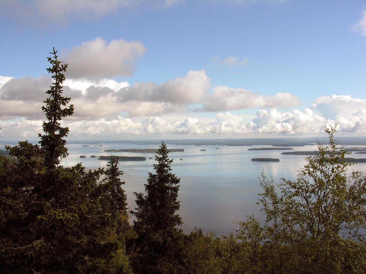 Maisema Kolilta järvelle.