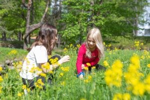 Miten tukea ADHD-lasta arjessa? Strategia-kurssi vanhemmille Imatralla