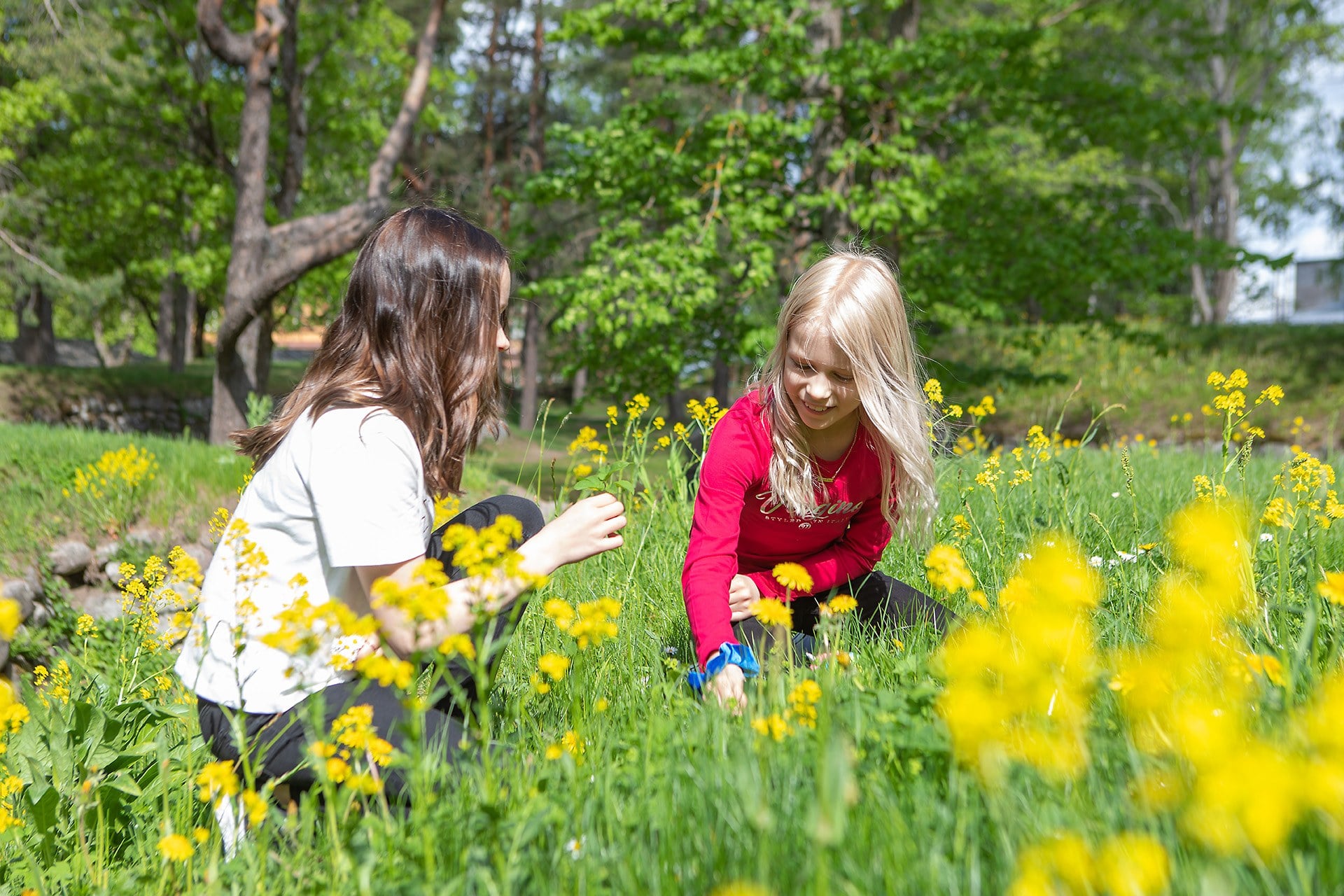 Miten tukea ADHD-lasta arjessa? Strategia-kurssi vanhemmille Imatralla
